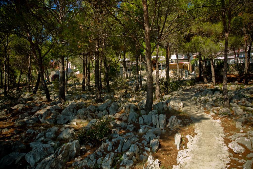Apartments Vrgada 드라게 외부 사진